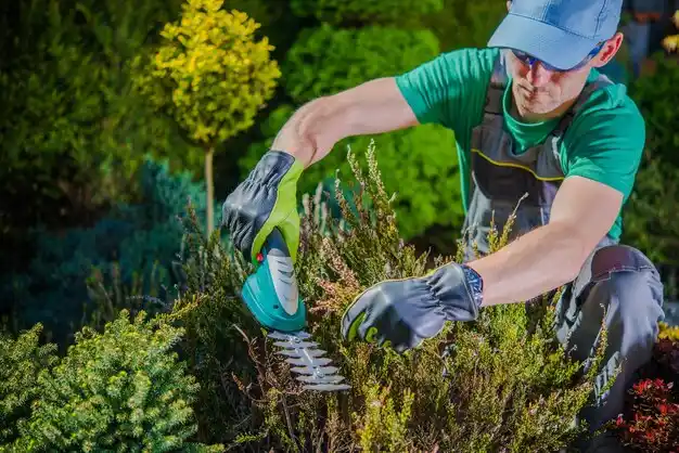 landscaping services Parks